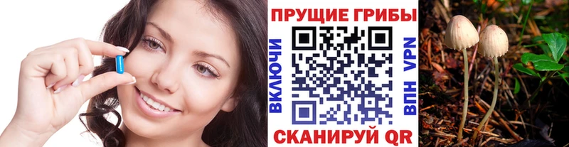 Псилоцибиновые грибы мухоморы  как найти наркотики  Кодинск 